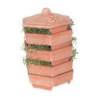 Bavicchi Geo Terracotta Sprouter