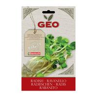 Bavicchi Geo reddikfrø til spiring Ø - 30 g