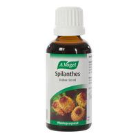 A. Vogel - Spilanthes - 50 ml.