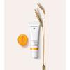 Dr. Hauschka Apricot Day Cream - 30 ml.