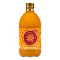 Eplecidereddik med Ingefær, Gurkemeje og Chili Raw Ø - 500 ml