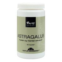 Natur-Drogeriet Astragalus - 90 kaps.