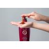 Daeng Gi Meo Ri Shampoo for Oily scalp - 500 ml.